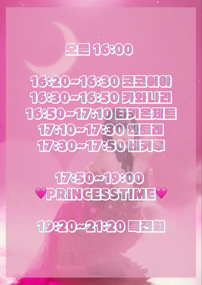 Pink princess birthday live 겐바 포스터