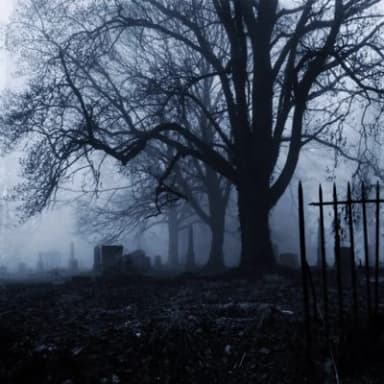 미이 프로필 이미지