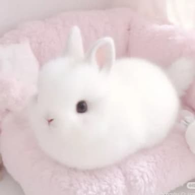 히요리 프로필 이미지