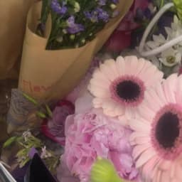 아리 프로필 이미지