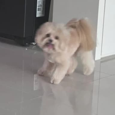 나츠코 프로필 이미지