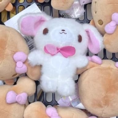 쿠루 프로필 이미지