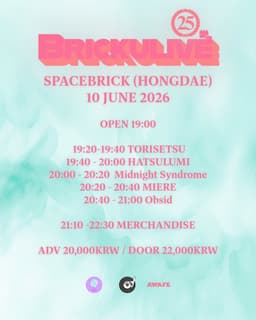 BRICKULIVE 25