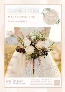CANDY FES VOL.12 - WEDDING DAY