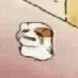 미카 프로필 이미지