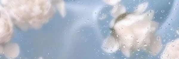 뮤로 커버 이미지