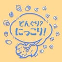 닛코리 프로필 이미지