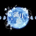 만월화 프로필 이미지